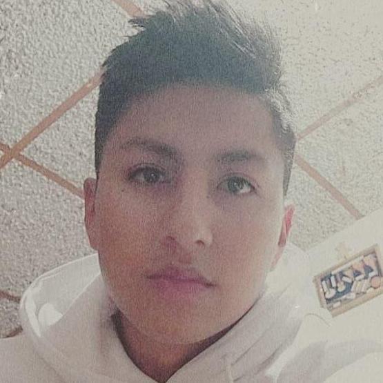 DAMIAN HOMERO GUANOTUÑA UMAJINGA