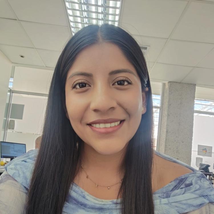 DIANA LIZBETH TOAQUIZA VILLAGÓMEZ