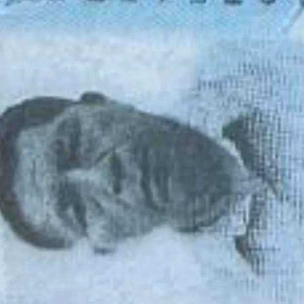 Mario Marcelo DelaCruz Velasco